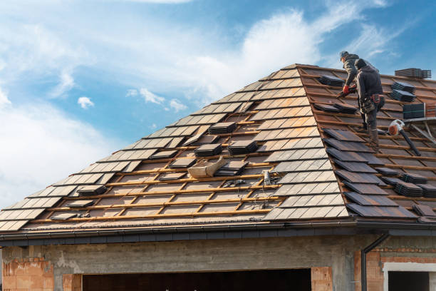 Reliable Bridge City, LA Roofing services Solutions