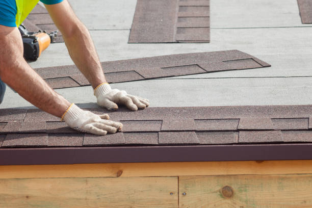 Best Steel Roofing  in Bridge City, LA